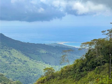 terreno para construir con vista a la montana y cola de ballena uvita