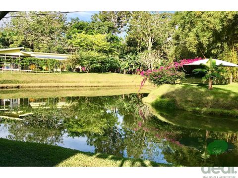 hotel colores del arenal