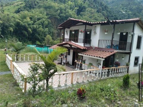 venta de finca en via chinchina