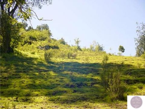 se vende amplio terreno con vegetacion en sector quebrada alvarado