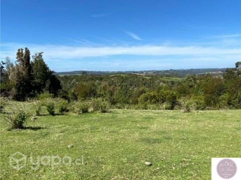 se vende campo semiplano de 255 hectareas en comuna de los muermos