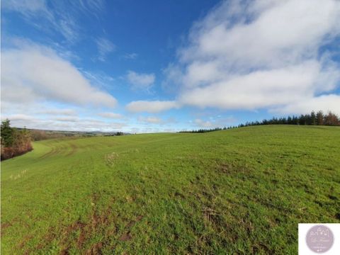 se vende hermoso campo en quichamahuida traiguen