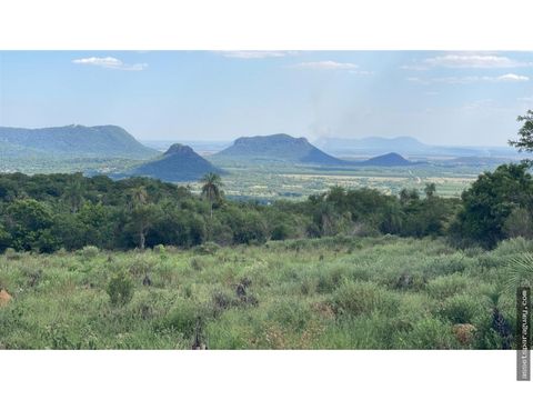 vendo hermosa propiedad de 10 hectareas en piribebuy