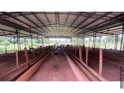 50 hectare1235 acres piribebuy livestock intensive feedlot farm
