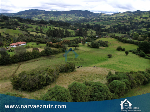 vendo finca de 25 fanegadas en tabio rio frio occidental