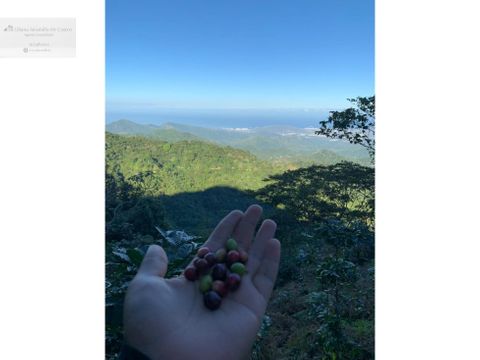 lote cerca a minca sierra nevada de santa marta el campano