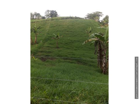 venta de finca ganadera en filandia quindio