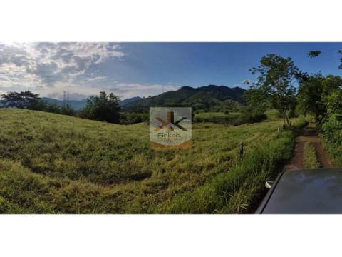 se vende finca en cerritos risaralda