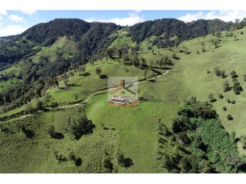 se vende finca cajamarca tolima