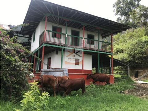 se vende finca pijao quindio