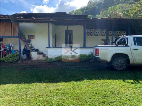 se vende finca caicedonia valle del cauca