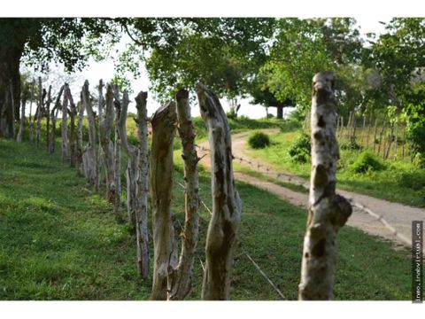 finca en vereda balsamo zona rural arjona bol