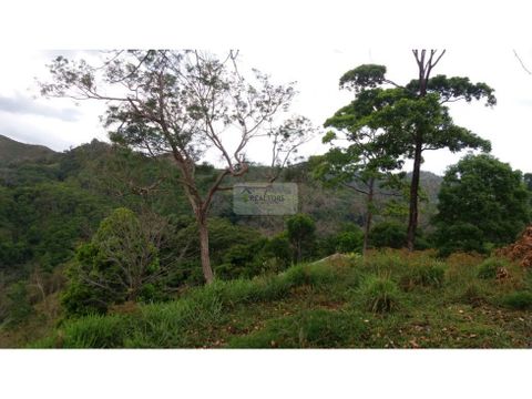 venta finca en puriscal ideal para oxigeno