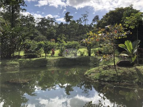 venta de finca en guacimo