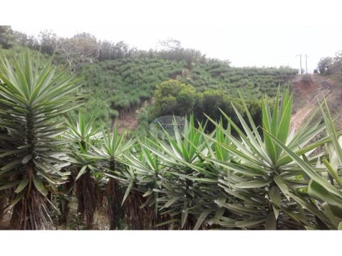 venta de finca en san ramon