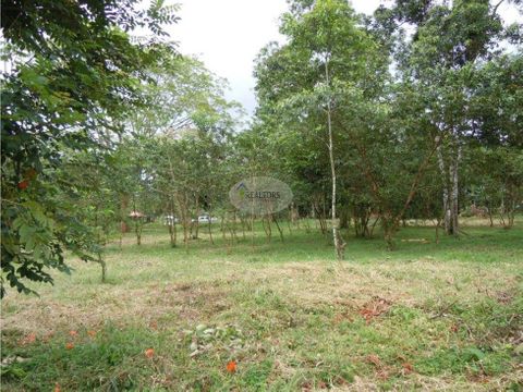 venta de finca en villa nueva de naranjito