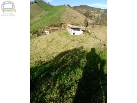 finca para la venta vereda san bartolo via la union mesopotamia