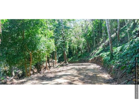 se vende finca en tambor paquera