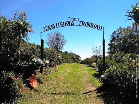 se vende finca en san isidro grecia