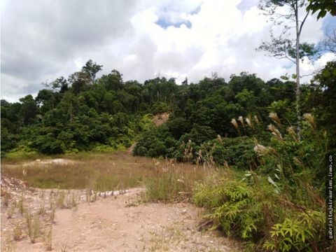 venta de finca en donoso colon gta