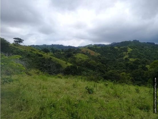 Venta de finca ideal para reforestación en Mariato/Torio/Sona GTA