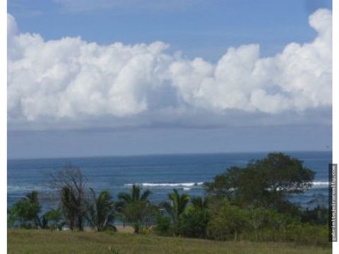 venta de finca en pedasi gta