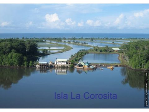 venta de isla camaronera en veraguas gta