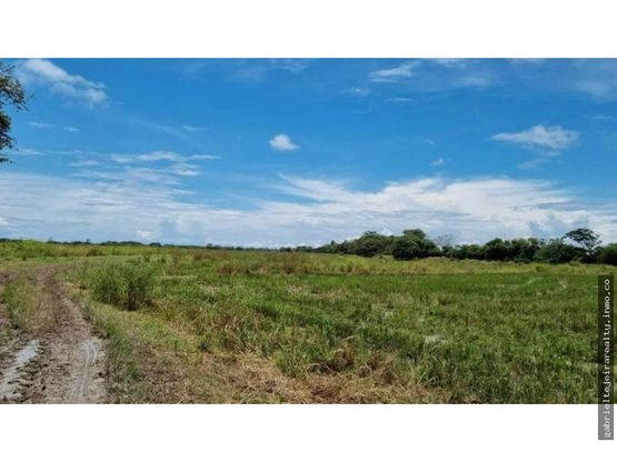Venta de finca en Juan Hombrón GTA