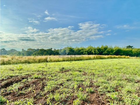 hermoso lote en cerritos