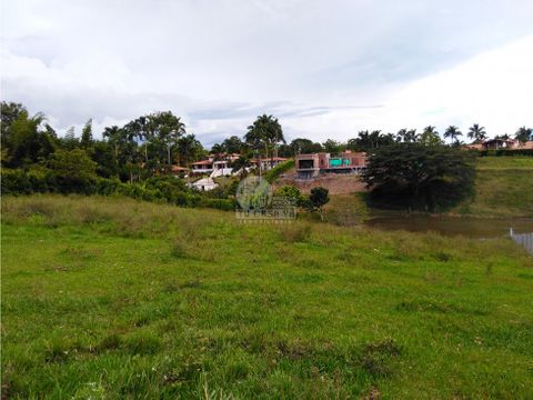 vendo lote en la via cerritos la virginia