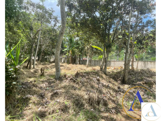 TERRENO DE 3,850m2 EN LOMAS DE COATEPEC 