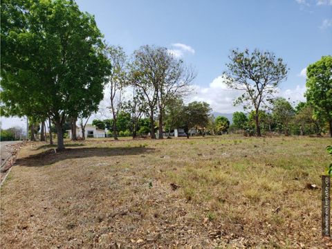 terreno en venta ph la colonia via punta chame