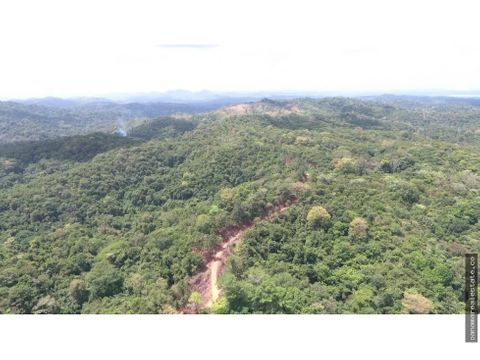 terreno en venta buena vista colon el giral