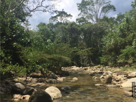 terreno rio ahuashiyacu