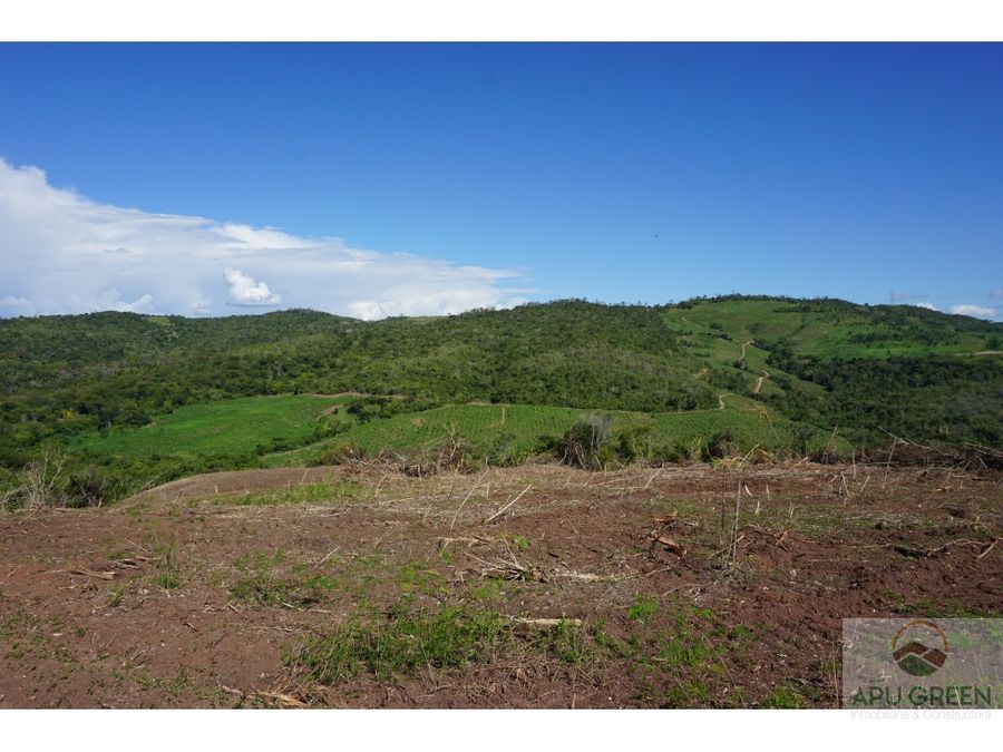 fundo 712 hectareas con reforestacion