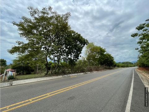 propiedad de 4976m2 en coyolar de orotina