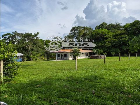 quinta con casa la gloria de aguas zarcas san carlos alajuela 3137
