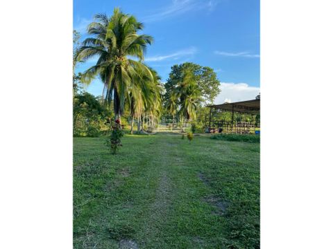 se vende finca en san pablo siquirres limon 39