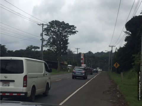 terreno de 12 hectareas a orilla de calle