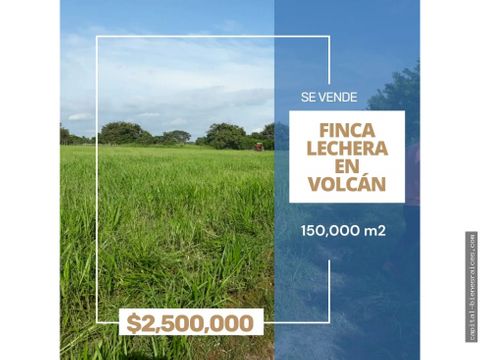 se vende finca lechera volcan chiriqui