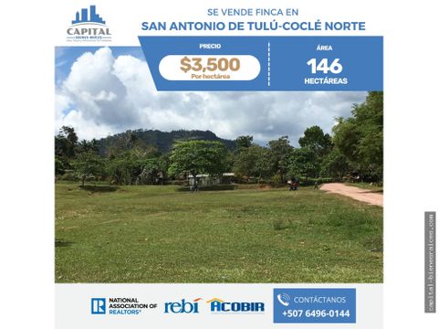 se vende finca en san antonio de tulu cocle norte