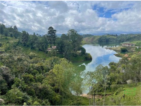 lote en venta en la magdalena el penol antioquia