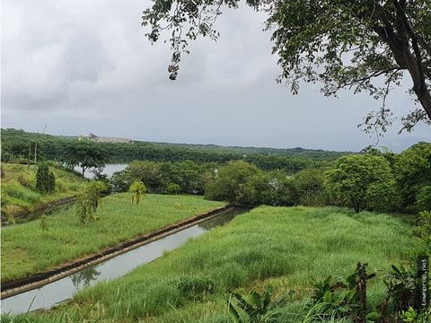 se vende finca 98 cativa colon para uso industrial