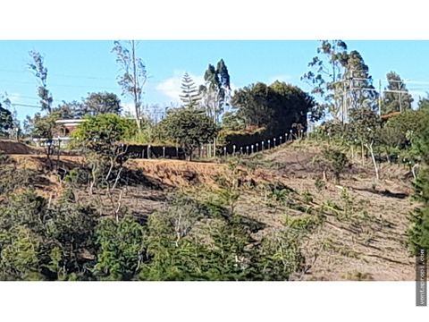 venta de lote en rionegro vereda mampuesto bajo de precio