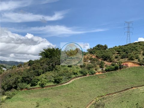 lote en venta con aguacates y permiso de vivienda en san vicente