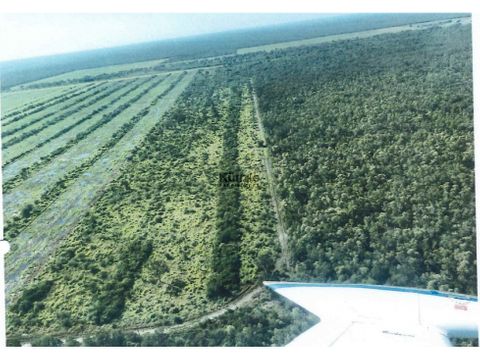 3500 has agroganaderas en tte esteban martinez bajo chaco