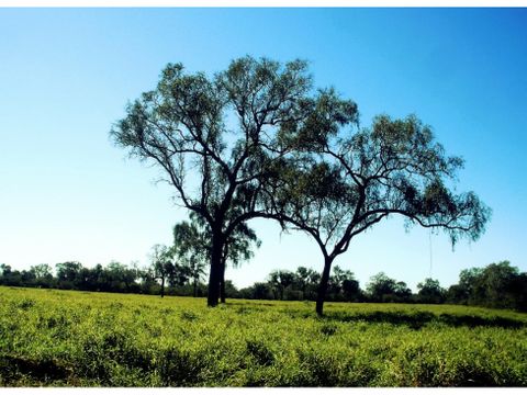 5500 has agroganaderas en fortin paria mcal estigarribia