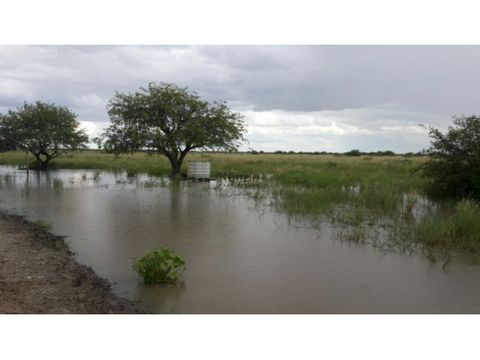 31600 hectareas agro ganaderas en chaco central