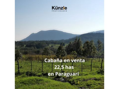 225 has cabana en venta en paraguari