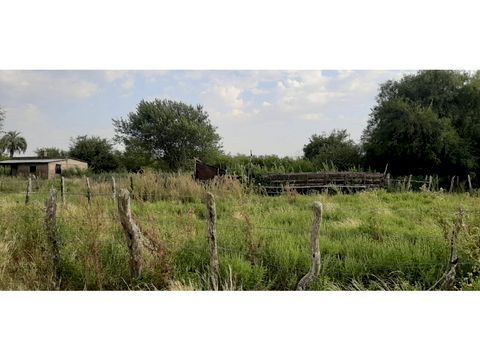 se alquila campo de 510 has en zona raices oeste